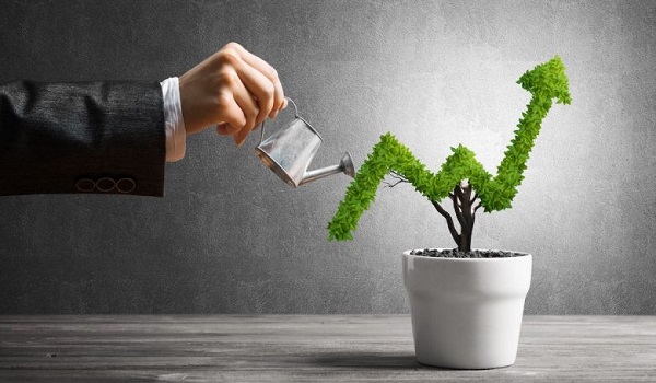 Birla Advaya Investment